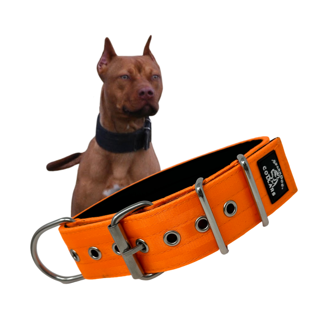 2" Padded Working Dog Collar
