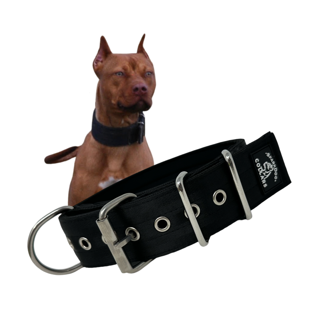 2" Padded Working Dog Collar