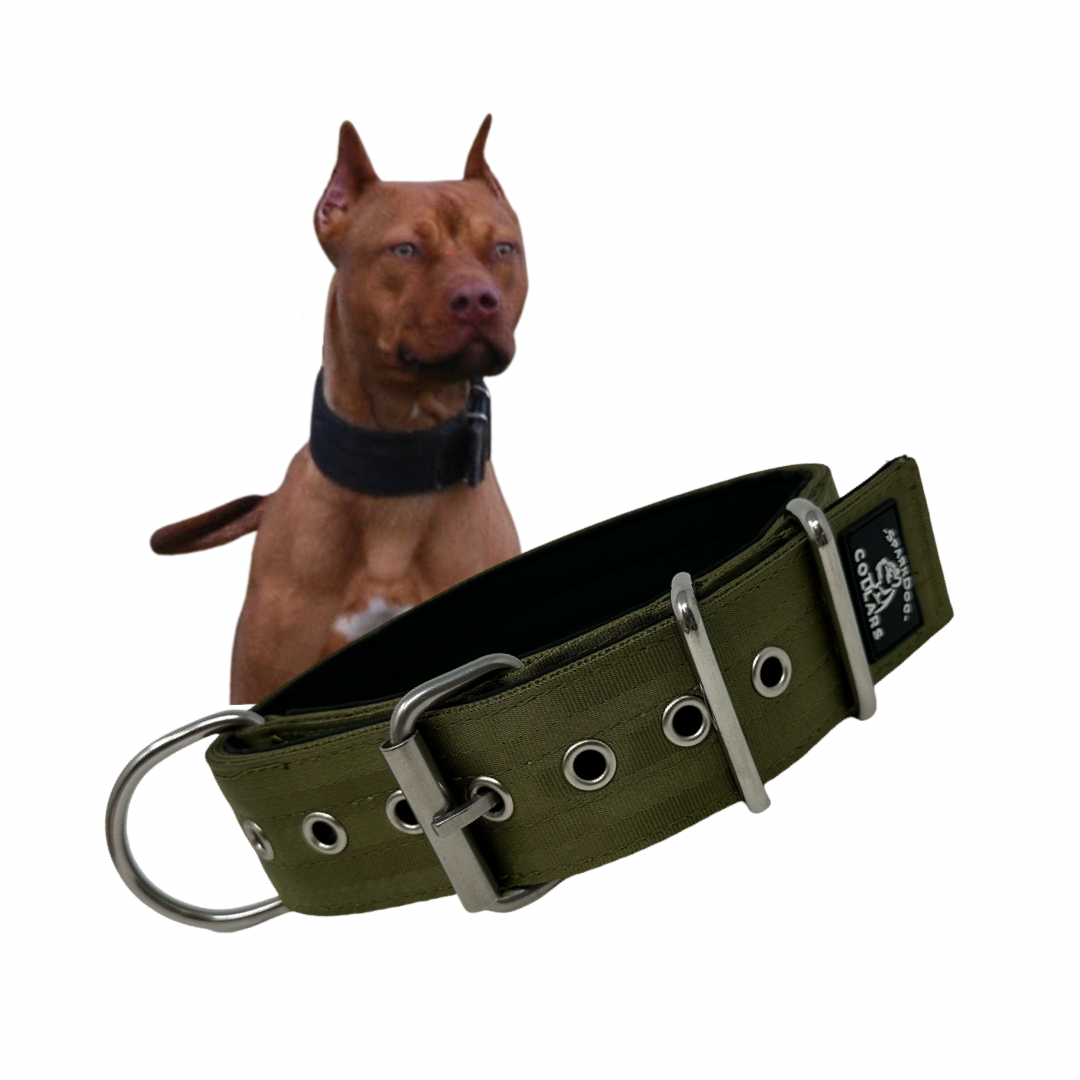 2" Padded Working Dog Collar