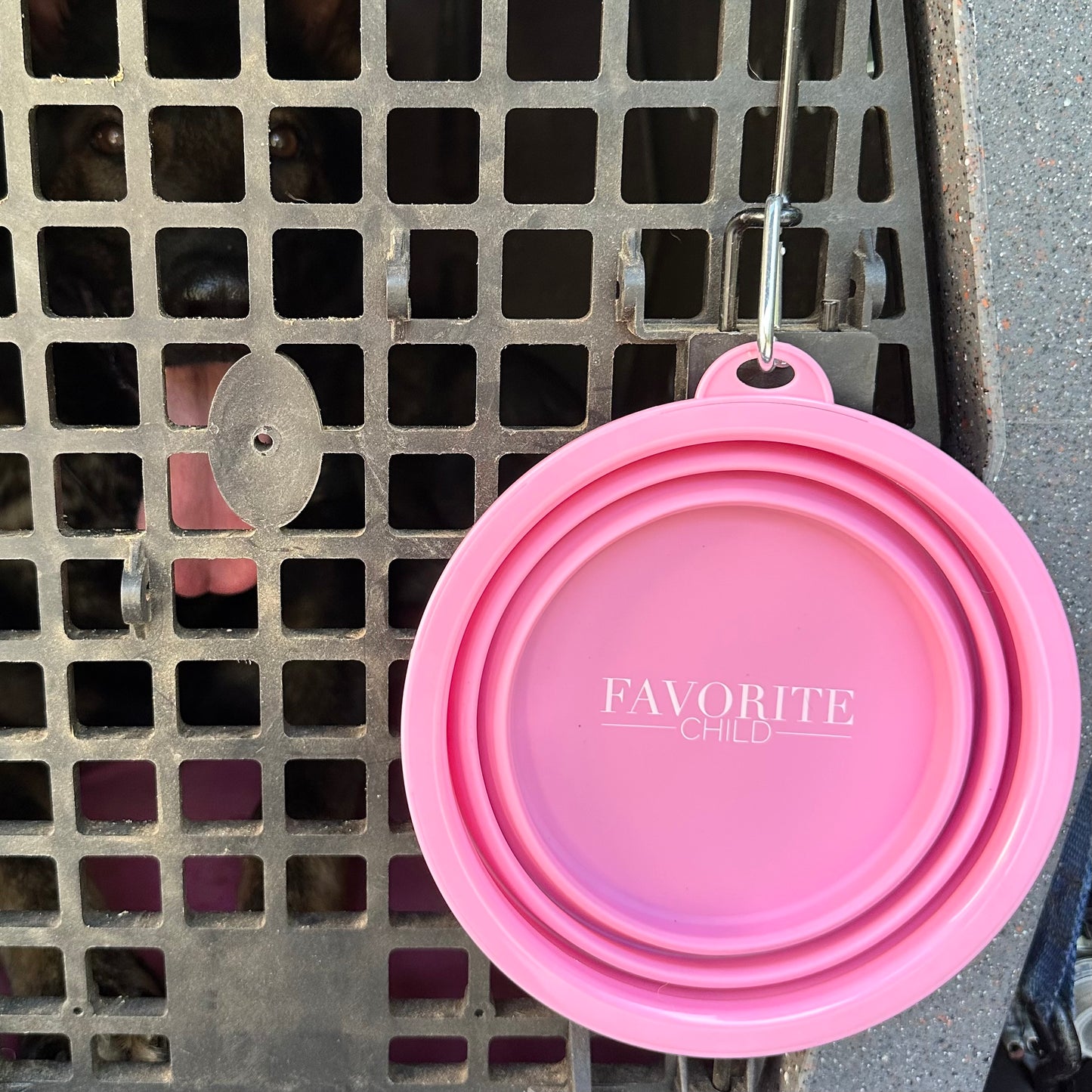 SparkDog Collapsible Bowl-34oz
