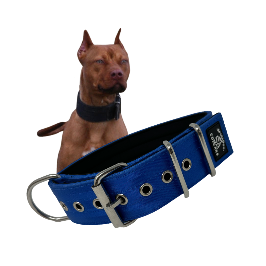 2" Padded Working Dog Collar