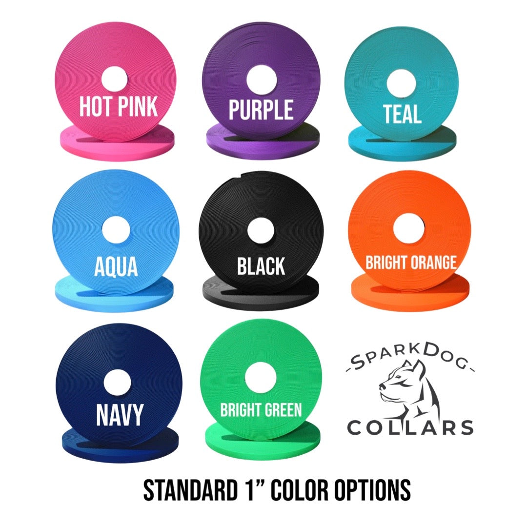 Custom Collar w/ Name & Strip