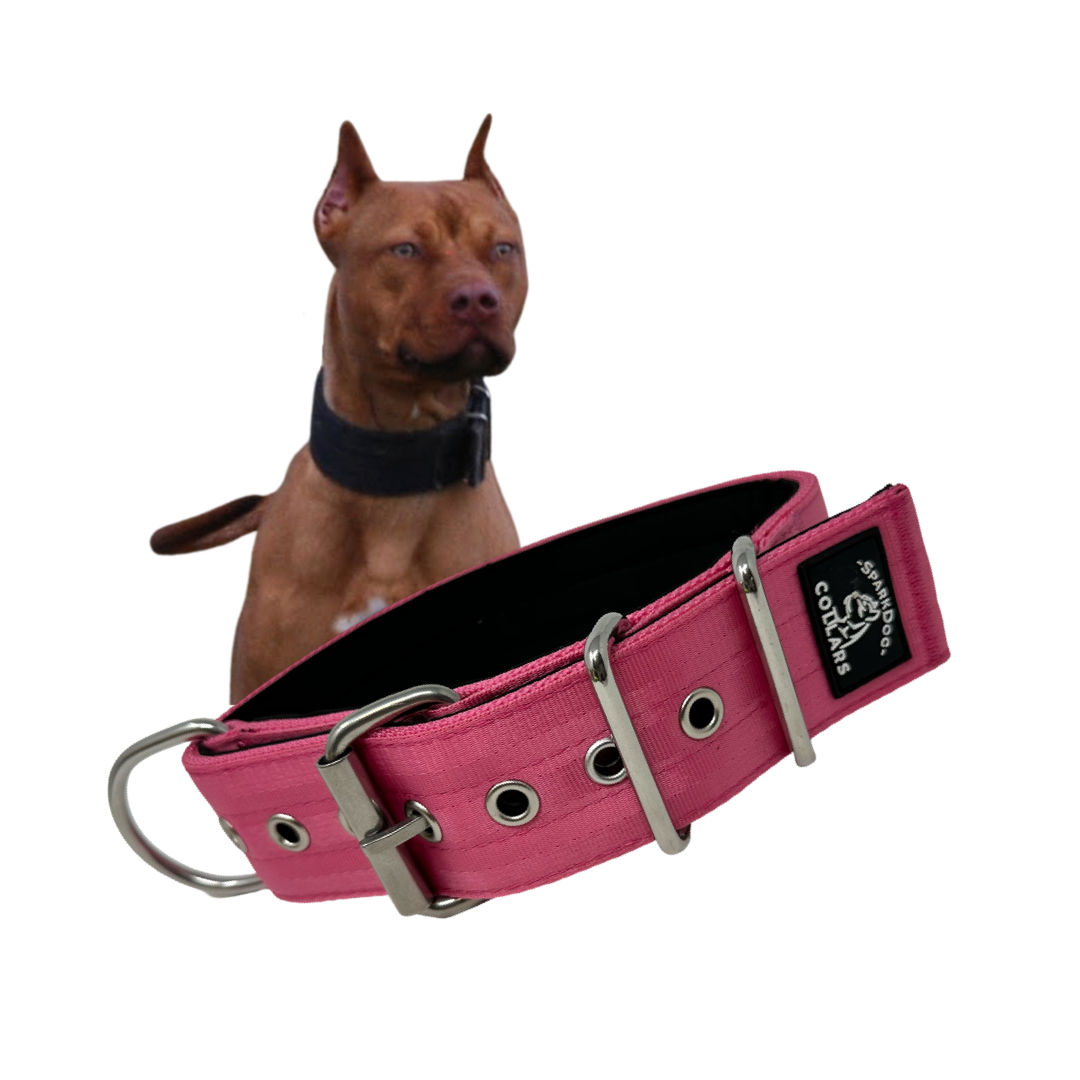 2" Padded Working Dog Collar