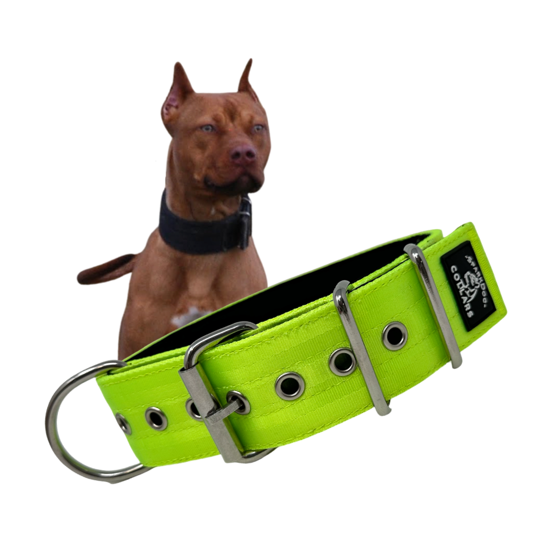 2" Padded Working Dog Collar