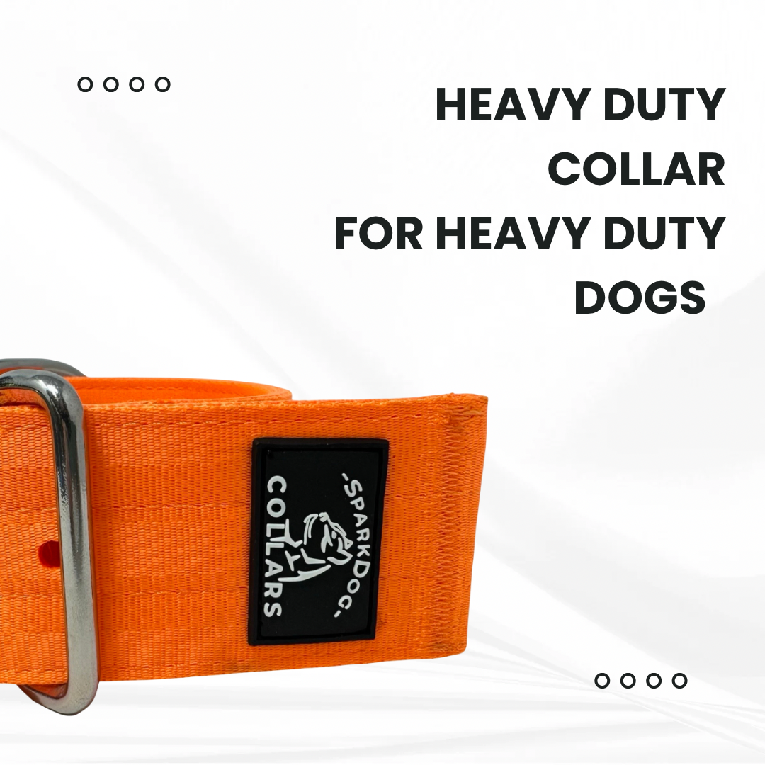 2” Working Dog Collar