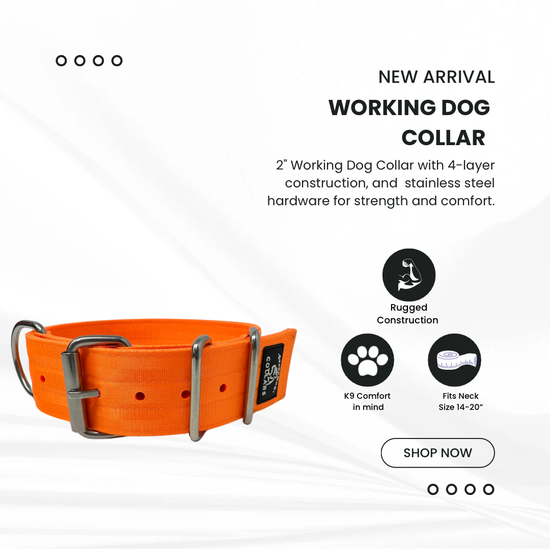 2” Working Dog Collar