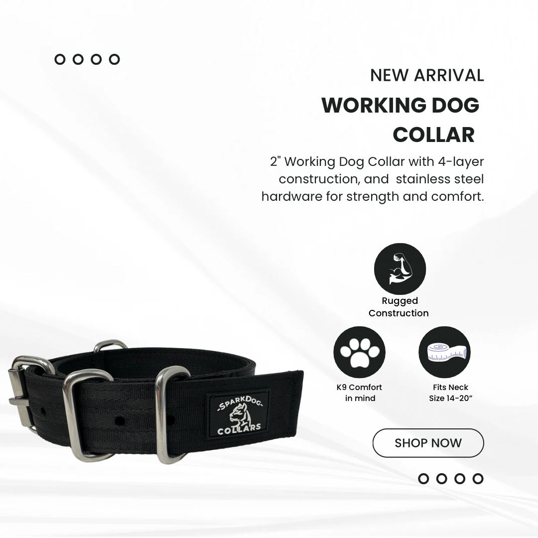 2” Working Dog Collar
