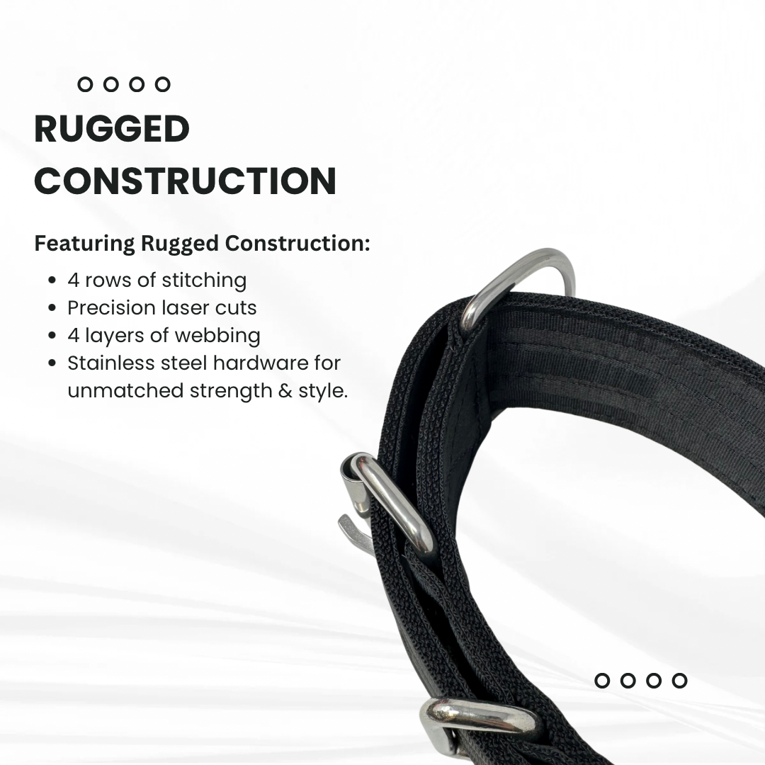 1.5” Working Dog Collar