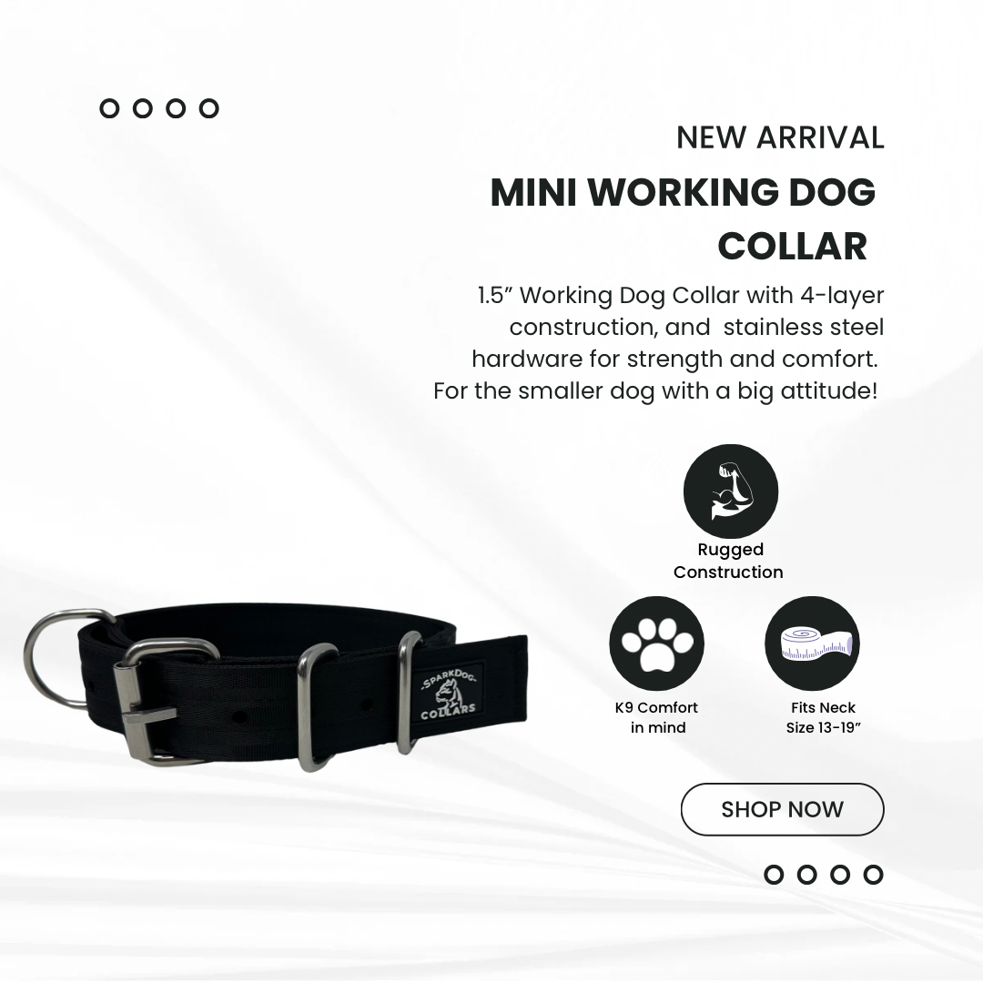 1.5” Working Dog Collar