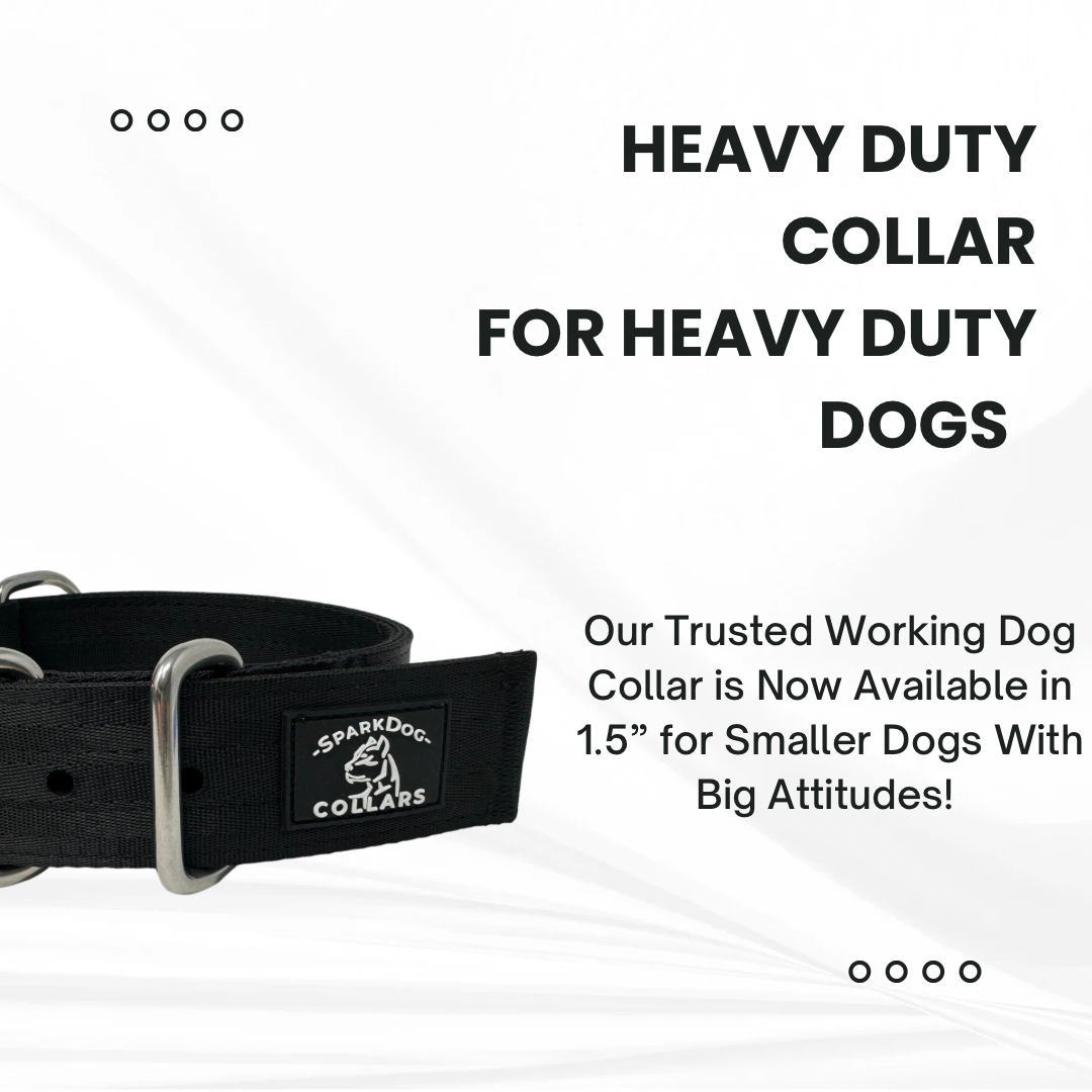 1.5” Working Dog Collar