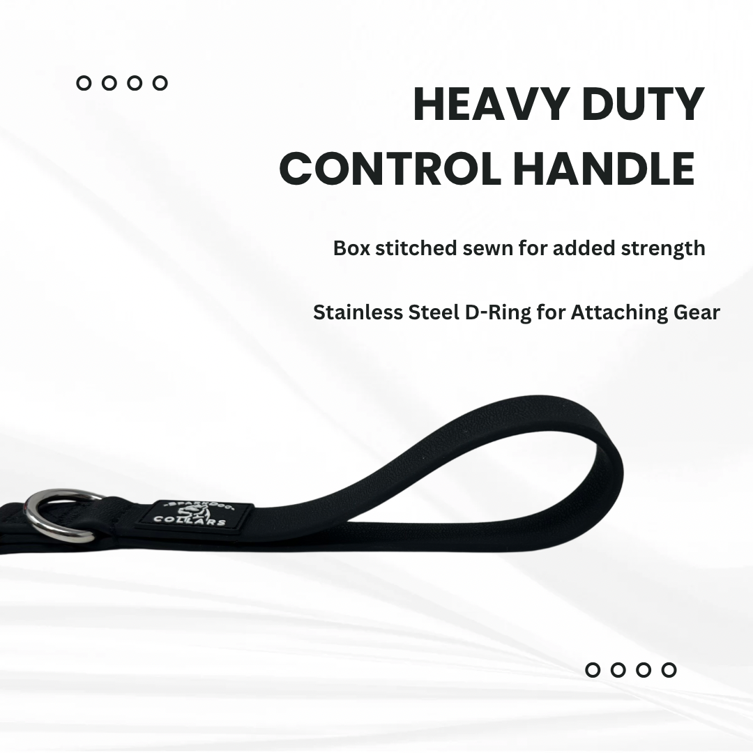 SparkDog Traffic Control Leash