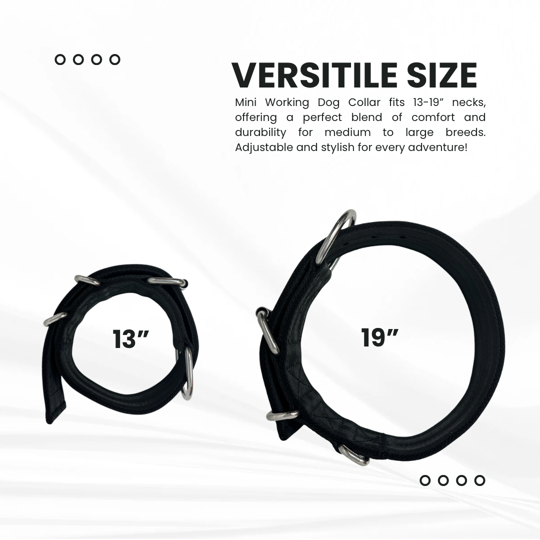 1.5” Working Dog Collar