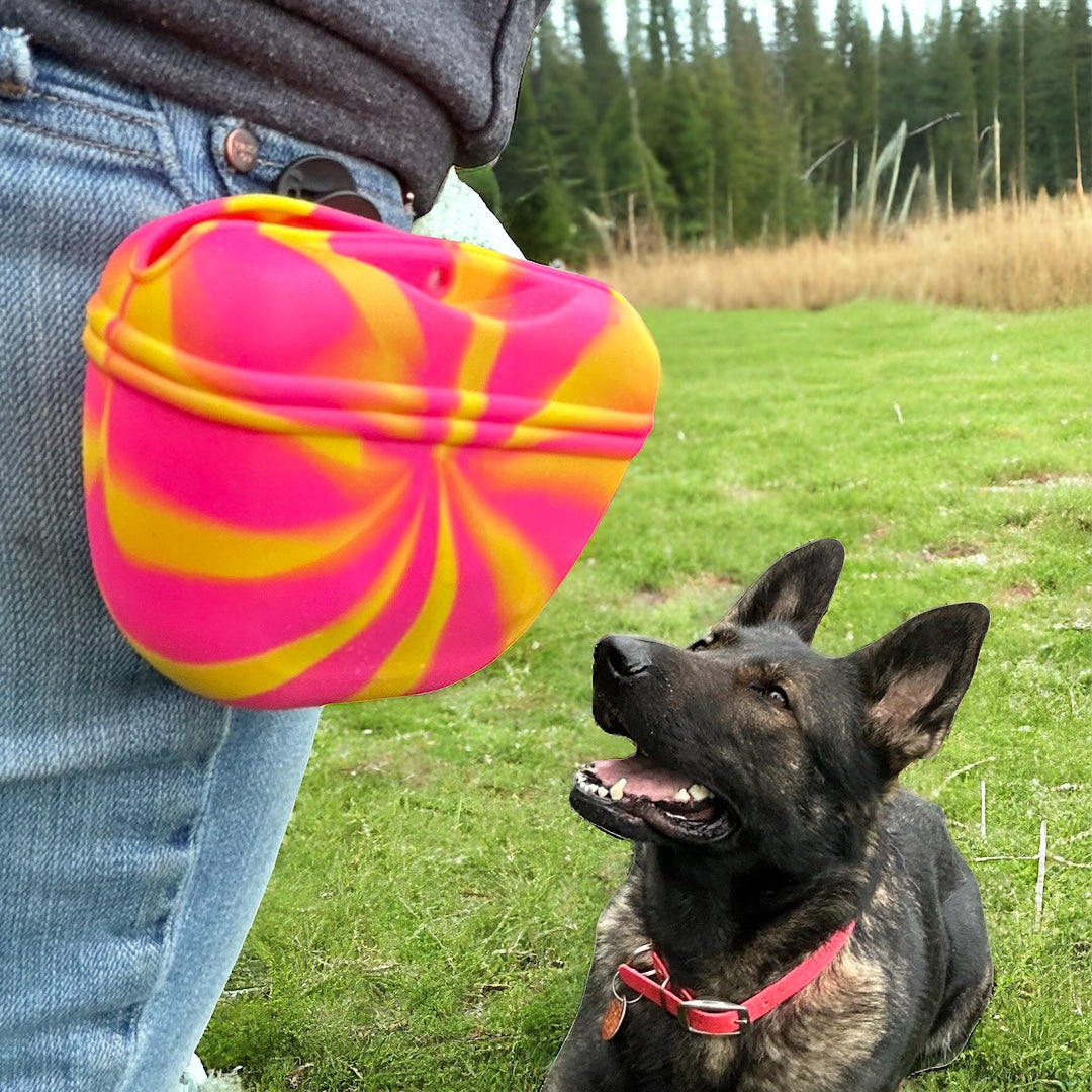 Silicone Treat Bags