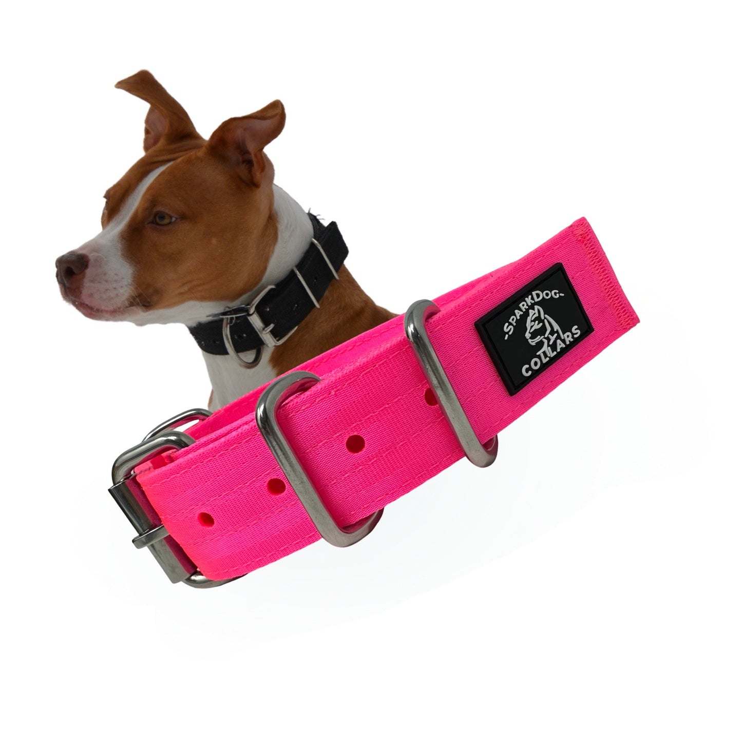 1.5” Working Dog Collar