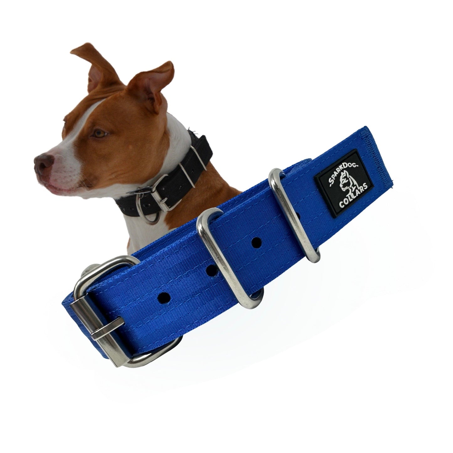 1.5” Working Dog Collar