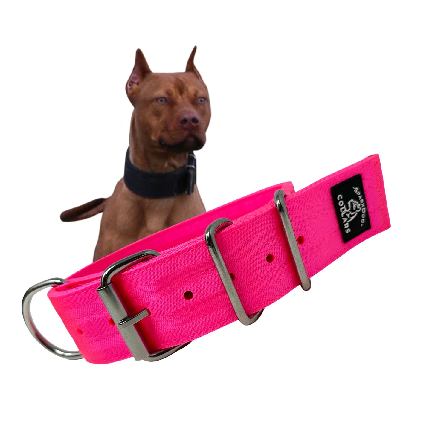 2” Working Dog Collar
