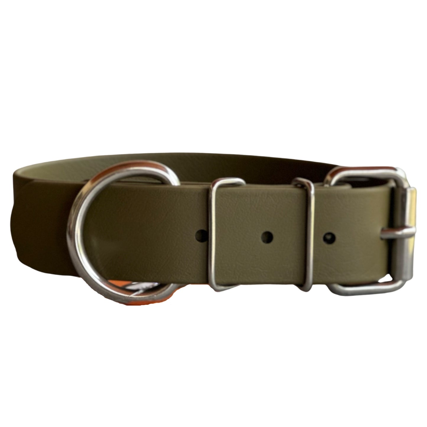 Daily Dog Collar-1.5” Stainless Steel