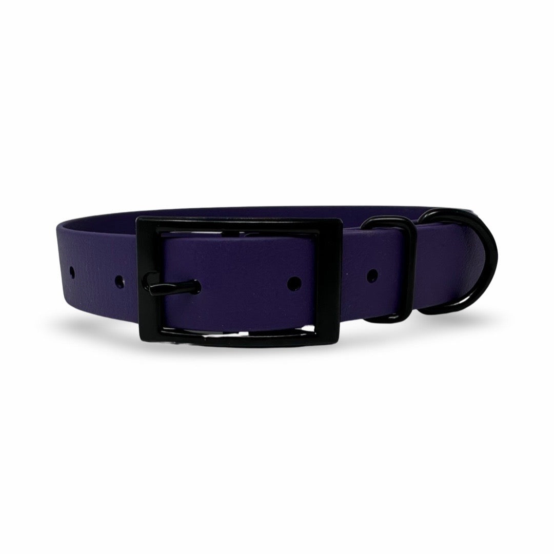 Daily Dog Collar 1”-Black Hardware