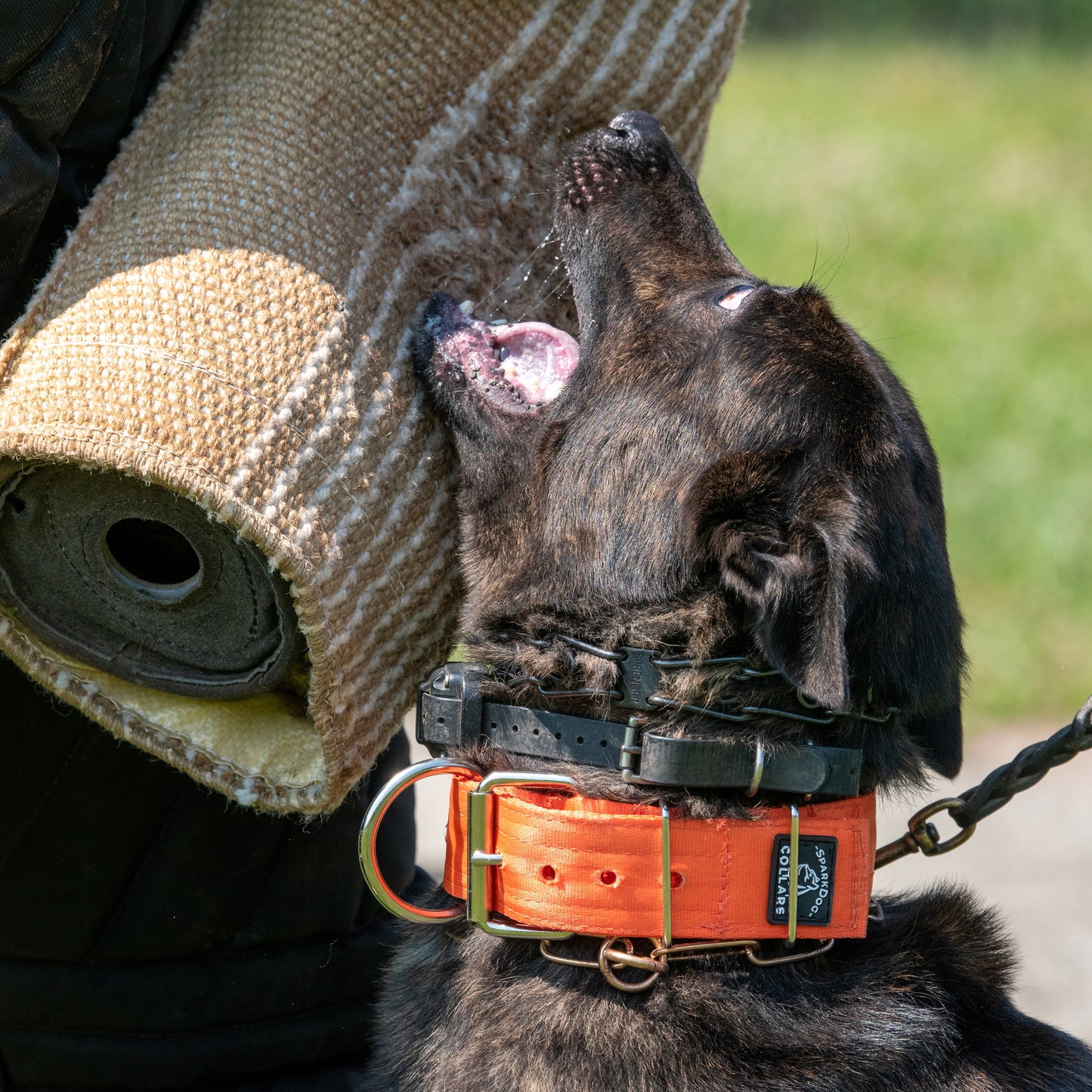 2" Padded Working Dog Collar