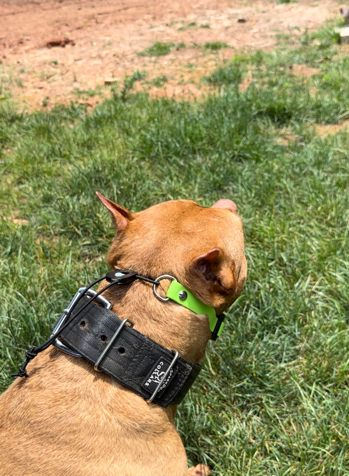 Quick Adjust E-Collar Straps-HighFlex