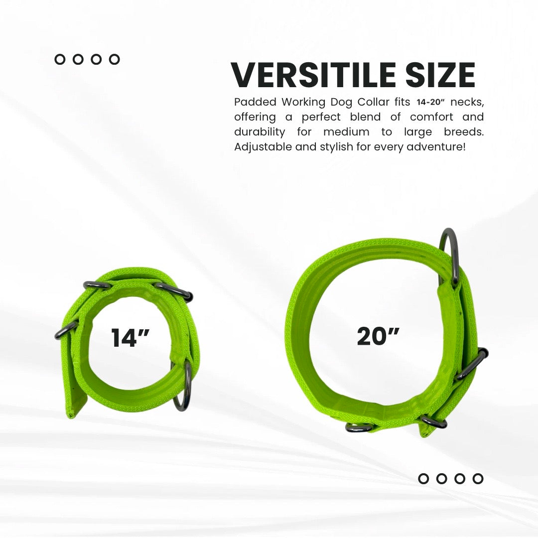 2” Working Dog Collar