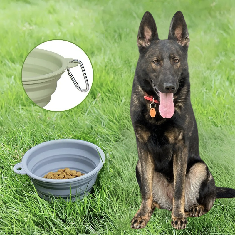 SparkDog Collapsible Bowl-34oz