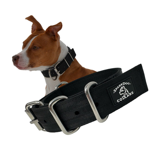 1.5” Working Dog Collar