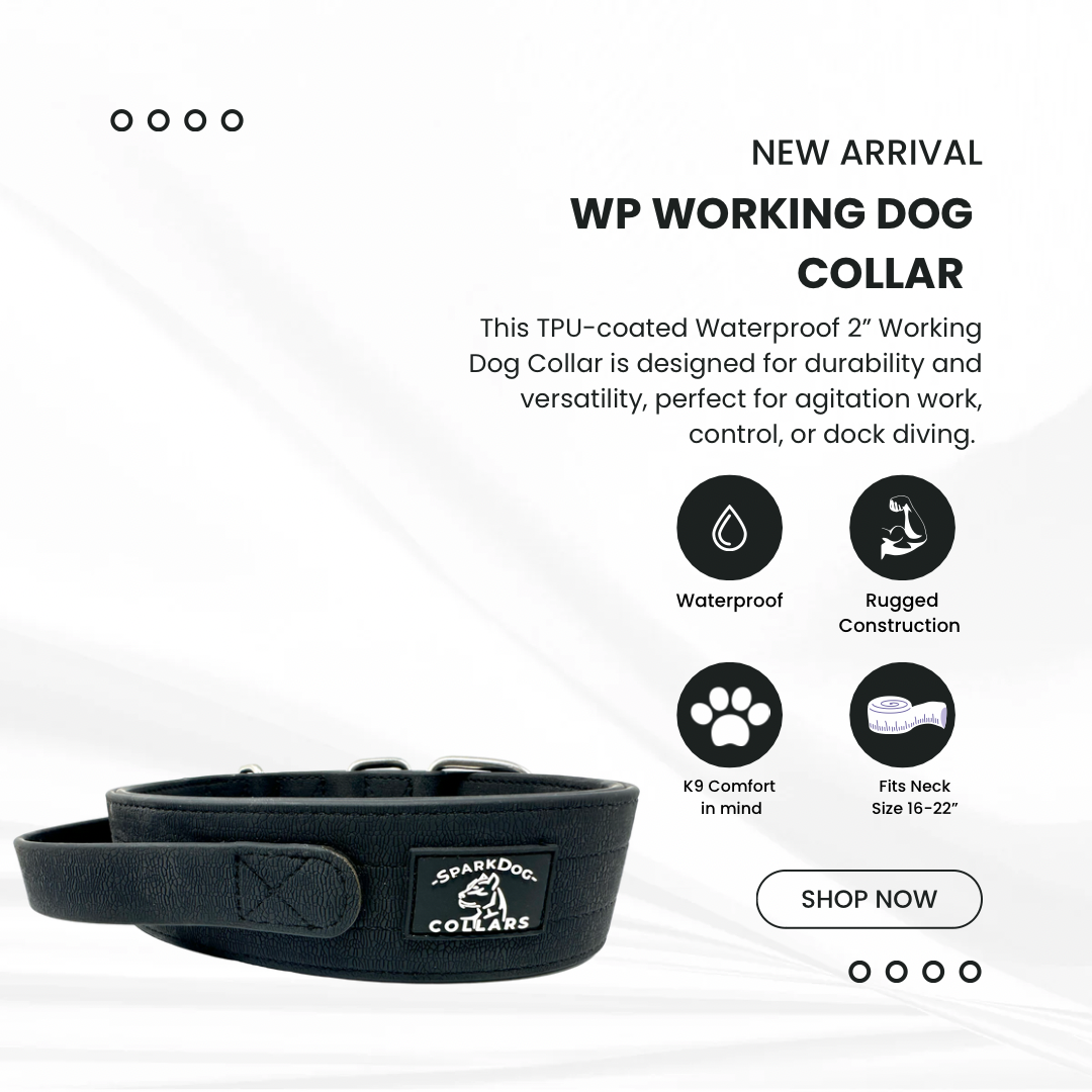 WP Working Dog Collar w/ Handle