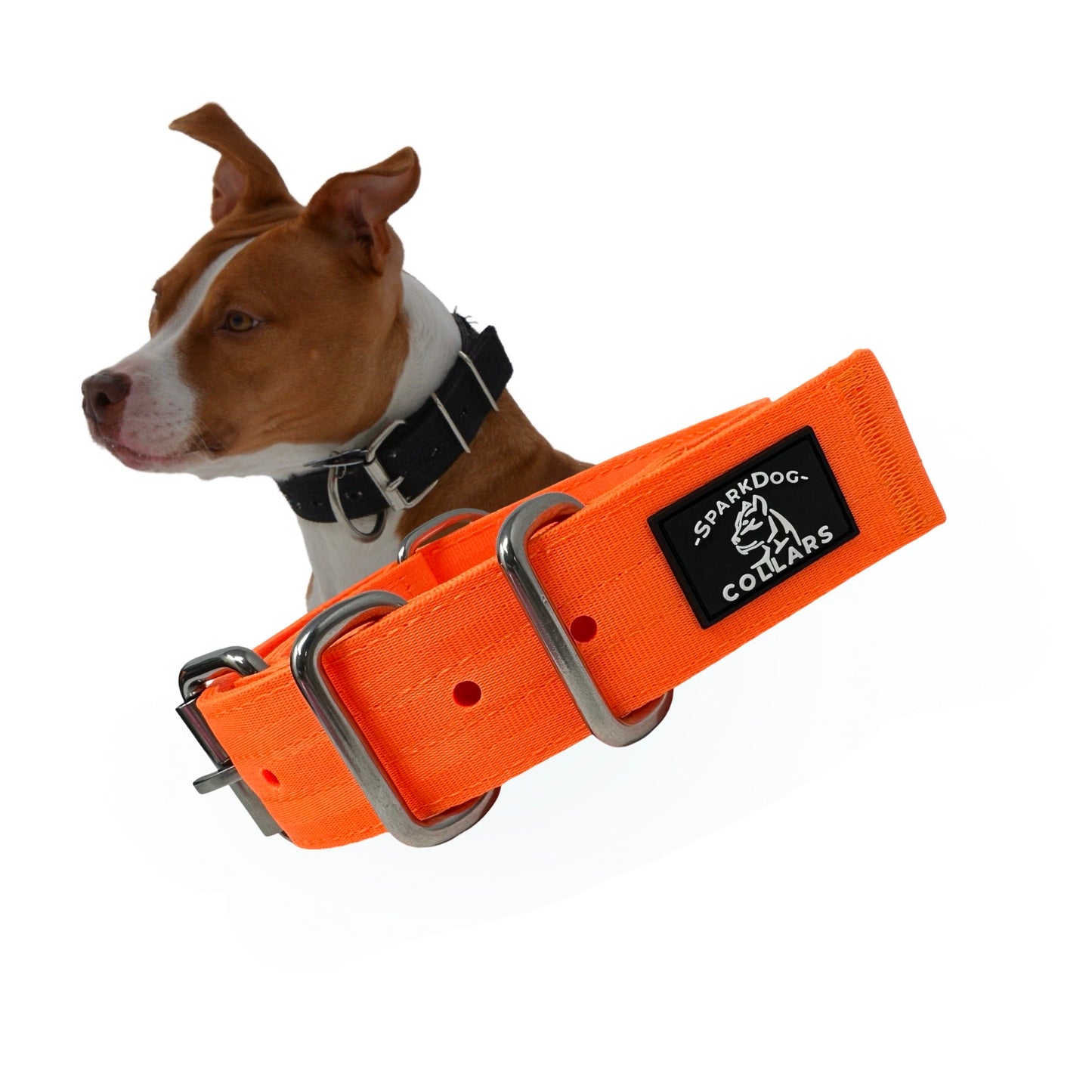 1.5” Working Dog Collar