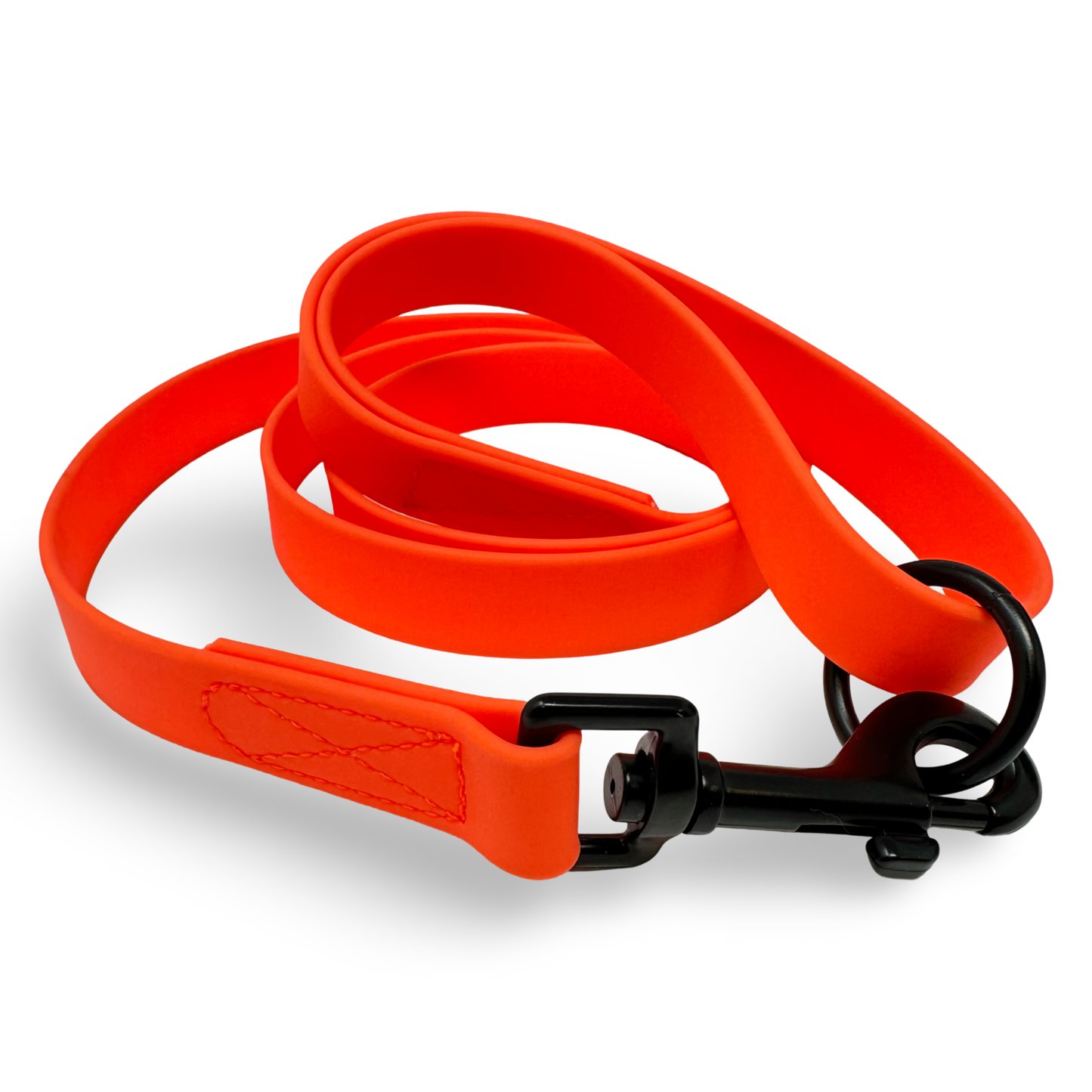 Daily Dog Training Leash