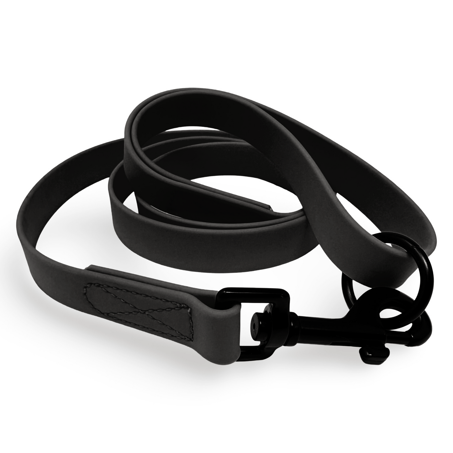 Daily Dog Training Leash