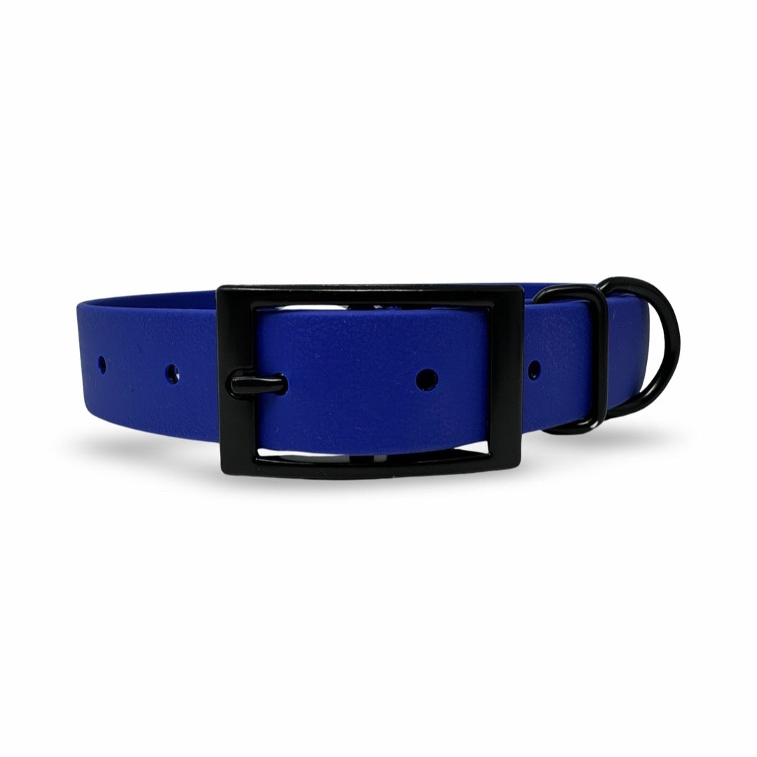 Daily Dog Collar 1”-Black Hardware