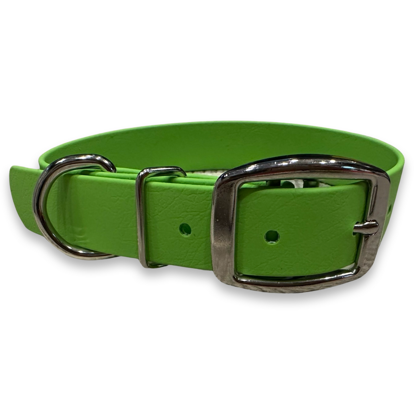 Daily Dog Collar-1” Nickel Plated