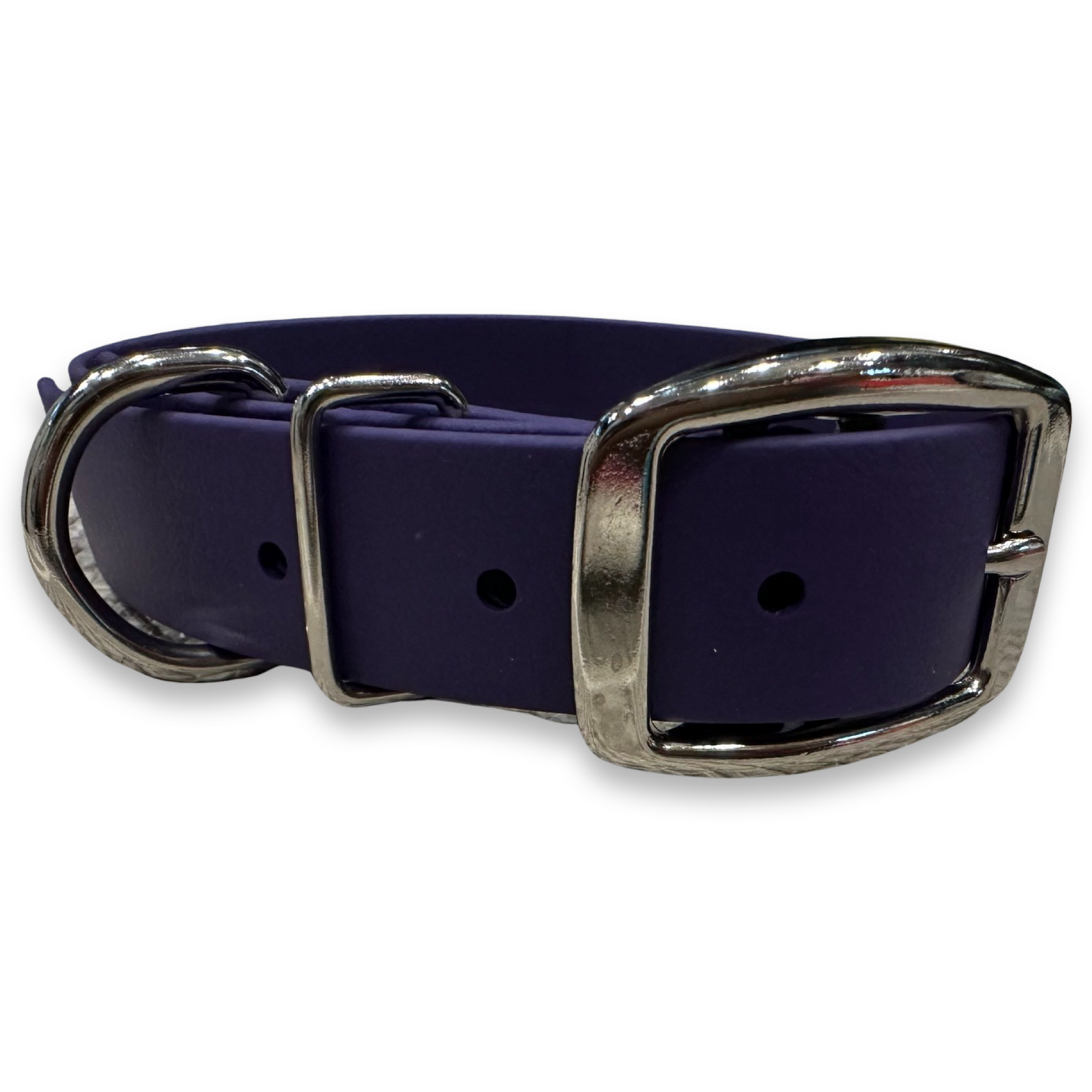 Daily Dog Collar-1” Nickel Plated